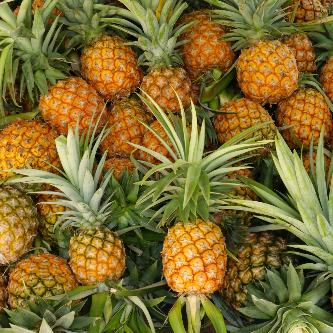 Ananas Pain de Sucre – Le croquant juteux des tropiques!