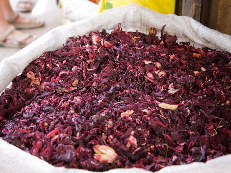 Bissap (Hibiscus sabdariffa)